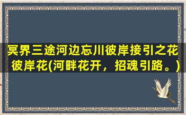 冥界三途河边忘川彼岸接引之花 彼岸花(河畔花开，招魂引路。)